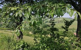Bed And Breakfast La Volpe Tra Le Vigne